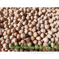 Professionele verwerkte Walnut Kernels Light Amber Helften